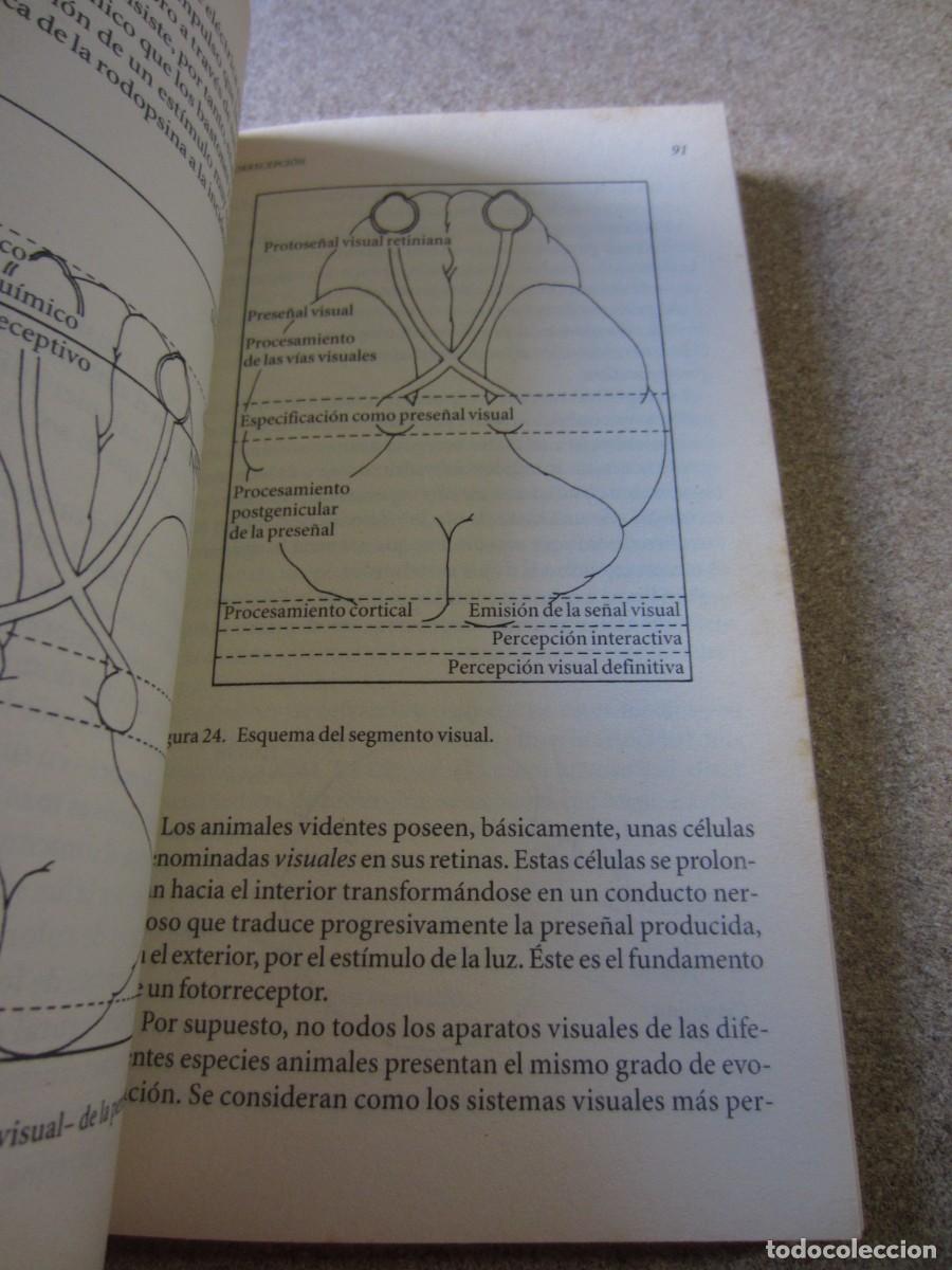 Libros de segunda mano: El libro del color (Juan Carlos Sanz) - Foto 15