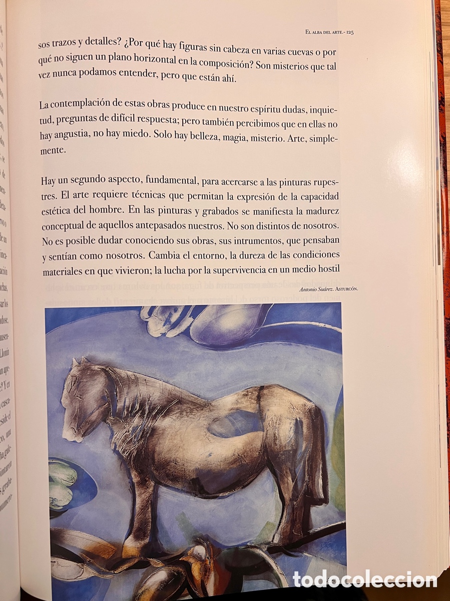 Libros de segunda mano: EL LIBRO DE LAS MIRADAS - GRAN FORMATO - Foto 5