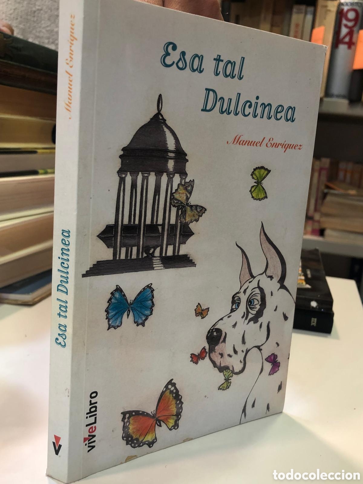 Libros de segunda mano: Esa tal Dulcinea - Manuel Enr&iacute;quez - Foto 1