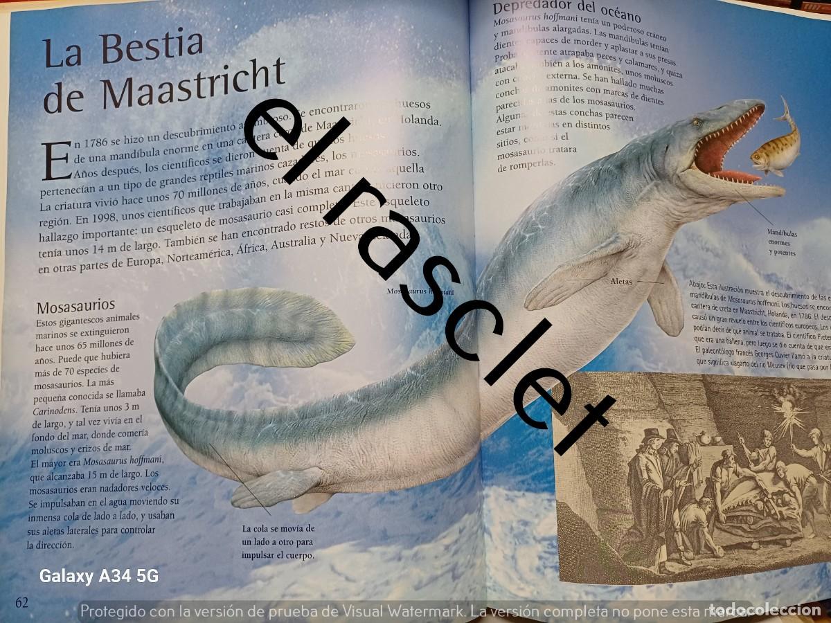 Libros de segunda mano: GRAN ENCICLOPEDIA DE LOS DINOSAURIOS - Foto 5