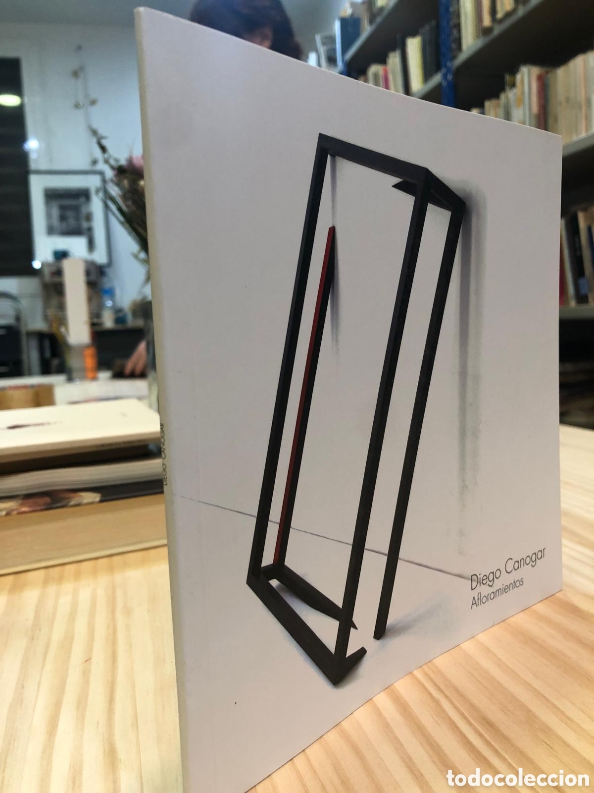 Libros de segunda mano: Afloramientos - Diego Canogar - Foto 1