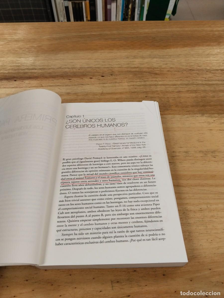 Libros de segunda mano: &iquest;Que Nos Hace Humanos?. - Michael S. Gazzaniga - Foto 11