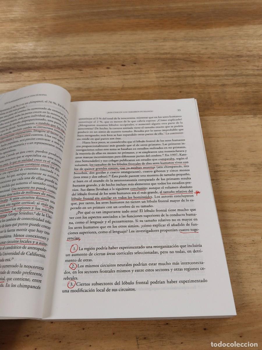 Libros de segunda mano: &iquest;Que Nos Hace Humanos?. - Michael S. Gazzaniga - Foto 12