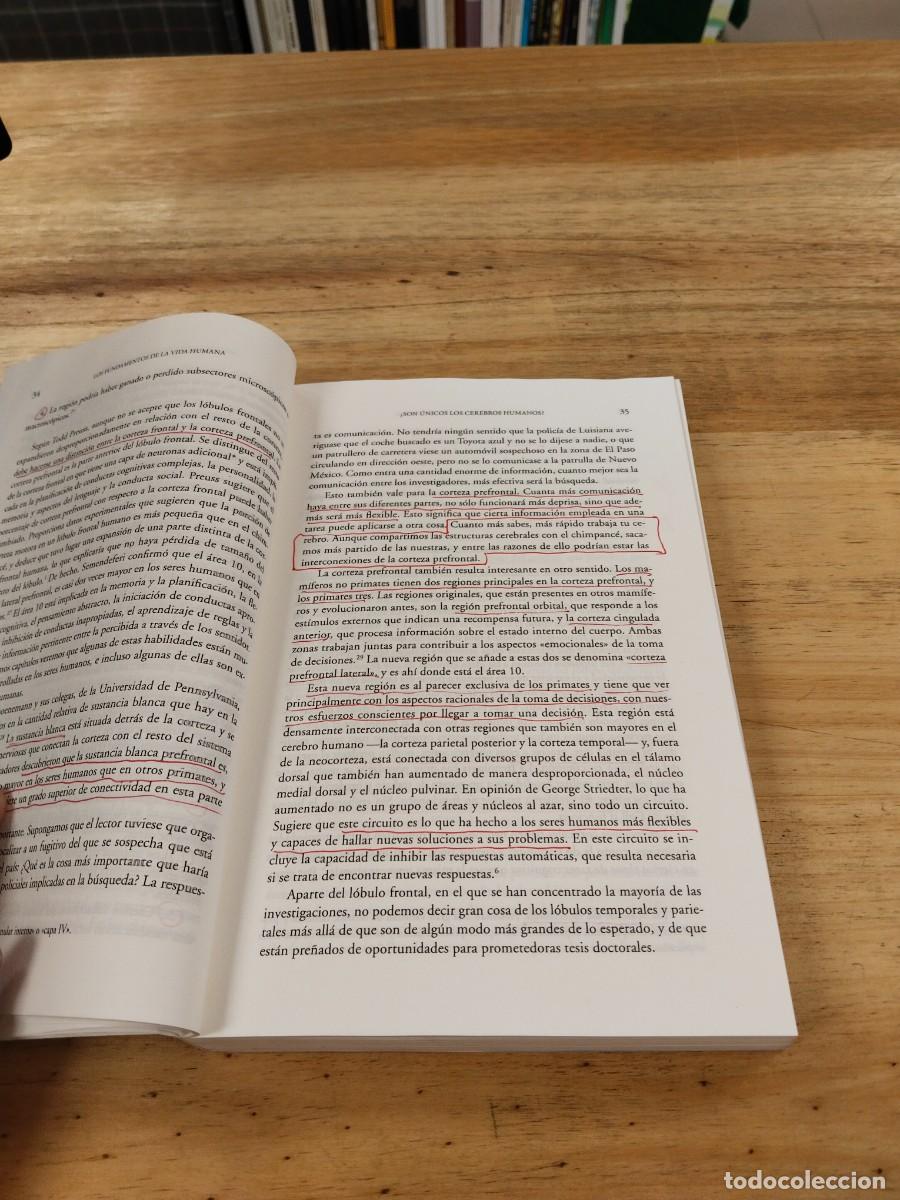 Libros de segunda mano: &iquest;Que Nos Hace Humanos?. - Michael S. Gazzaniga - Foto 13