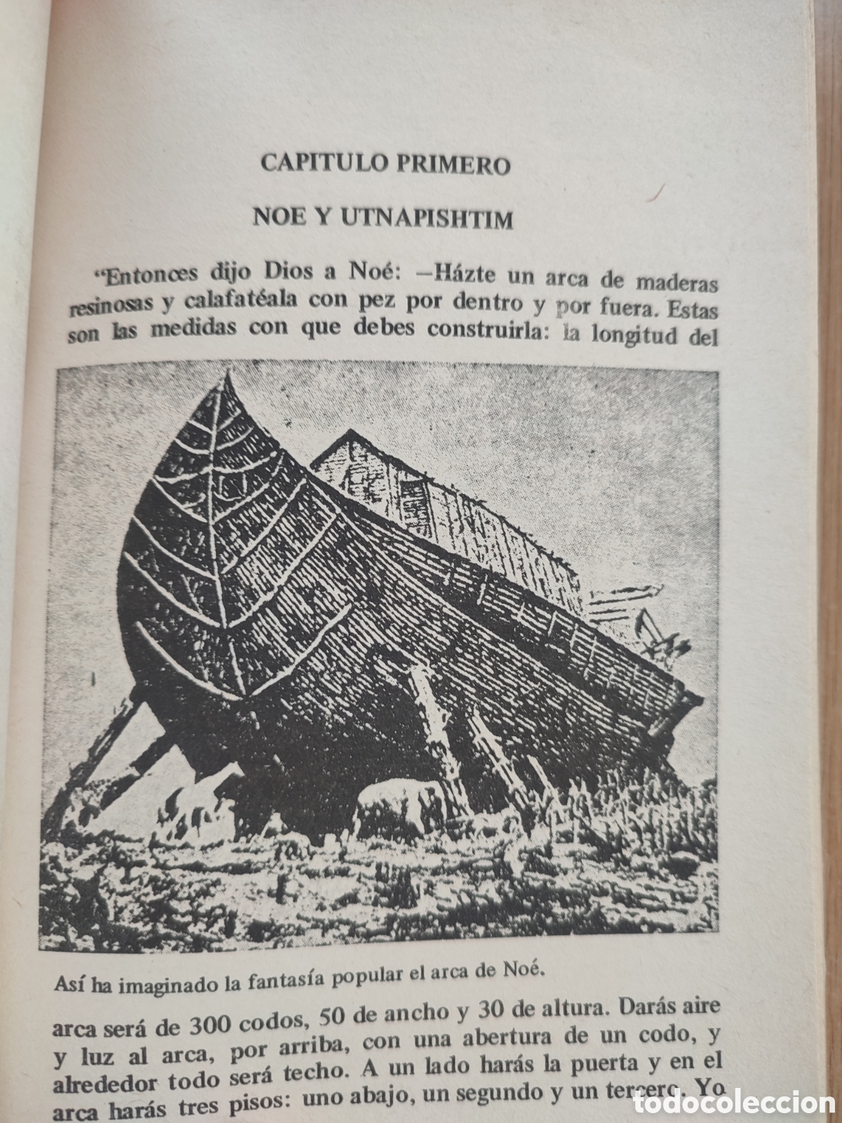 Libros de segunda mano: Despues del Diluvio. Mario Zanot - Foto 3