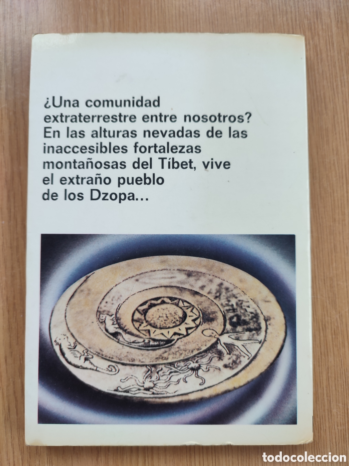 Libros de segunda mano: Los dioses del Sol en el exilio. Karyl Robin Evans - Foto 2
