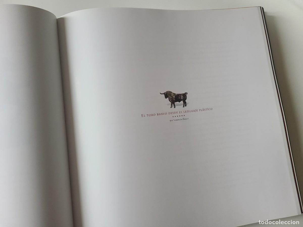 Libros de segunda mano: Tauromaquia. Venancio Blanco. - Foto 9