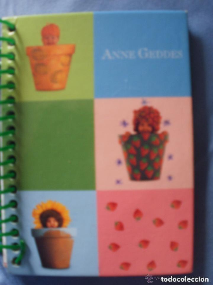 Libros de segunda mano: MINI LIBRETA ESPECIAL DE ANNE GEDDES - Foto 1