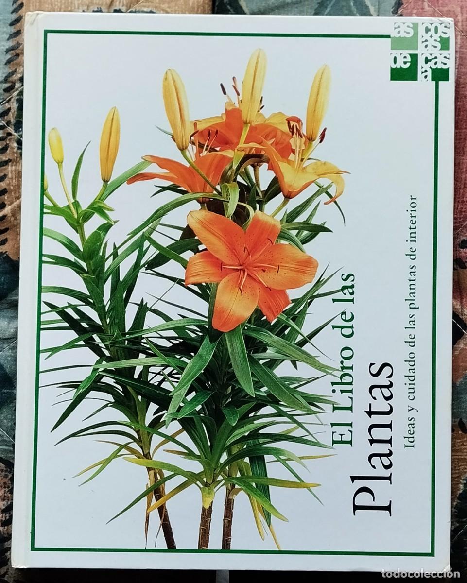 Libros de segunda mano: EL LIBRO DE LAS PLANTAS. DE LA COLECCION LAS COSAS DE CASA. NUMERO 3 - Foto 1