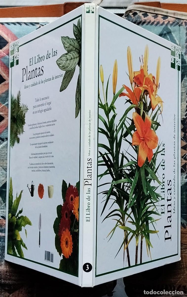 Libros de segunda mano: EL LIBRO DE LAS PLANTAS. DE LA COLECCION LAS COSAS DE CASA. NUMERO 3 - Foto 3
