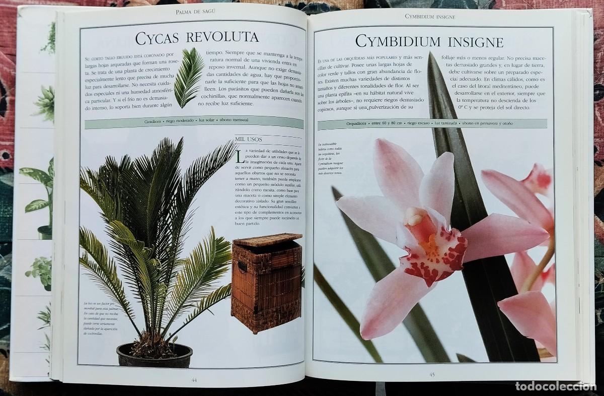 Libros de segunda mano: EL LIBRO DE LAS PLANTAS. DE LA COLECCION LAS COSAS DE CASA. NUMERO 3 - Foto 6
