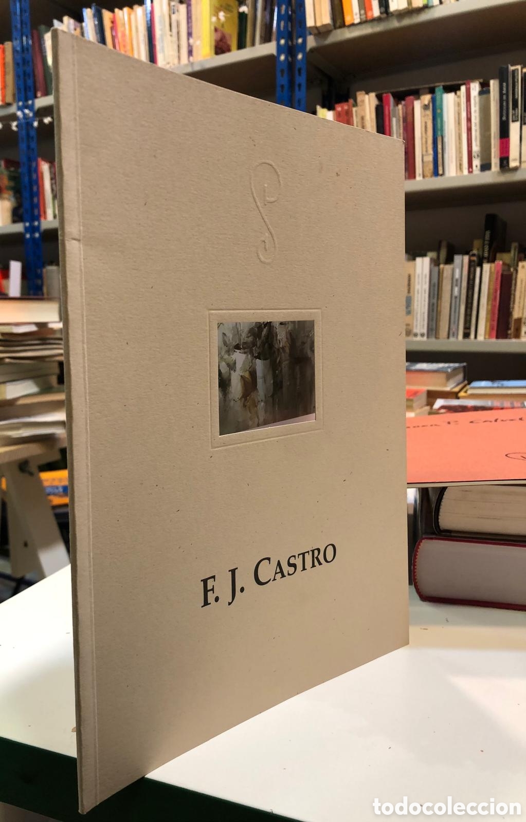 Libros de segunda mano: Francisco J. Castro (Pintura) - Foto 1