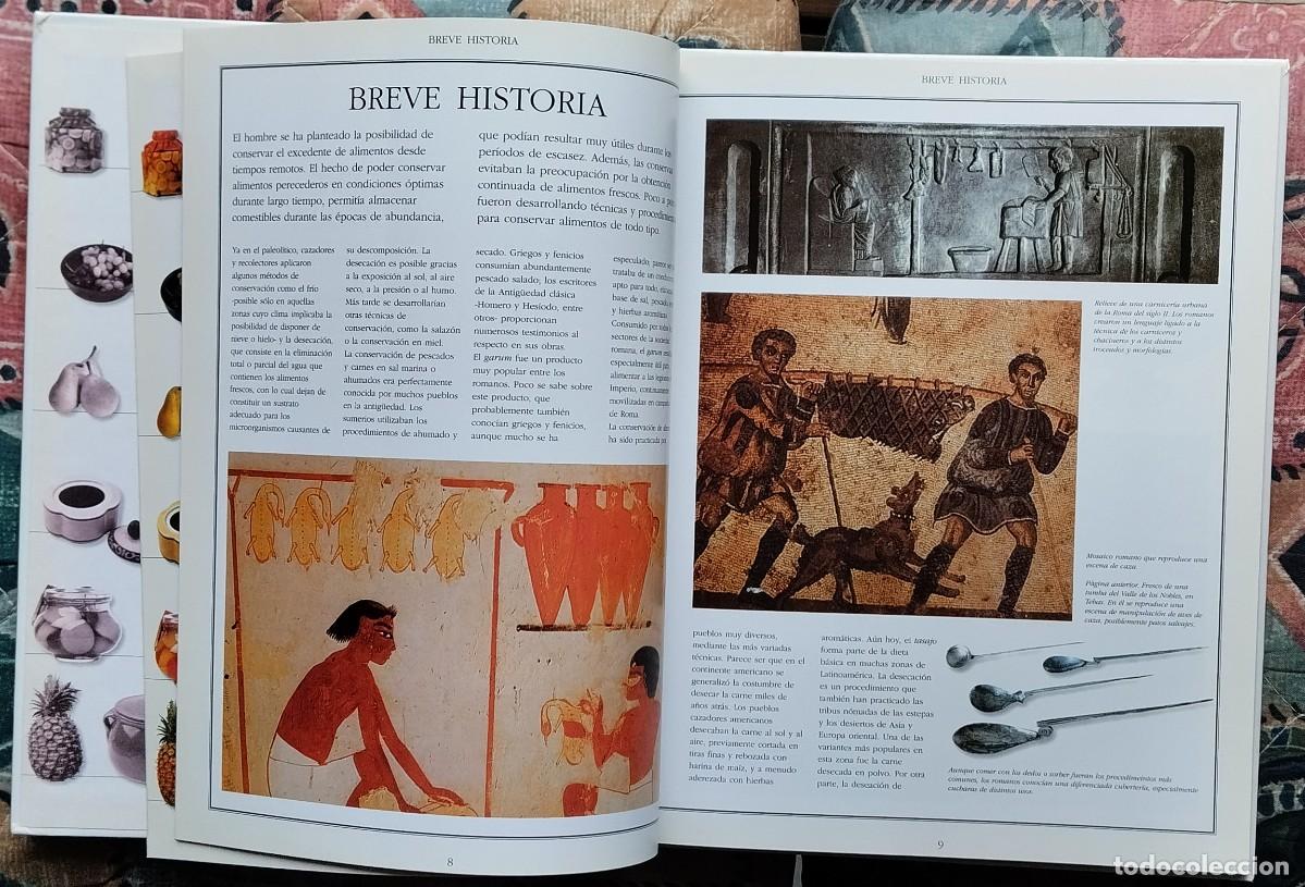 Libros de segunda mano: EL LIBRO DE LAS CONSERVAS (II). DE LA COLECCION LAS COSAS DE CASA. NUMERO 2 - Foto 4