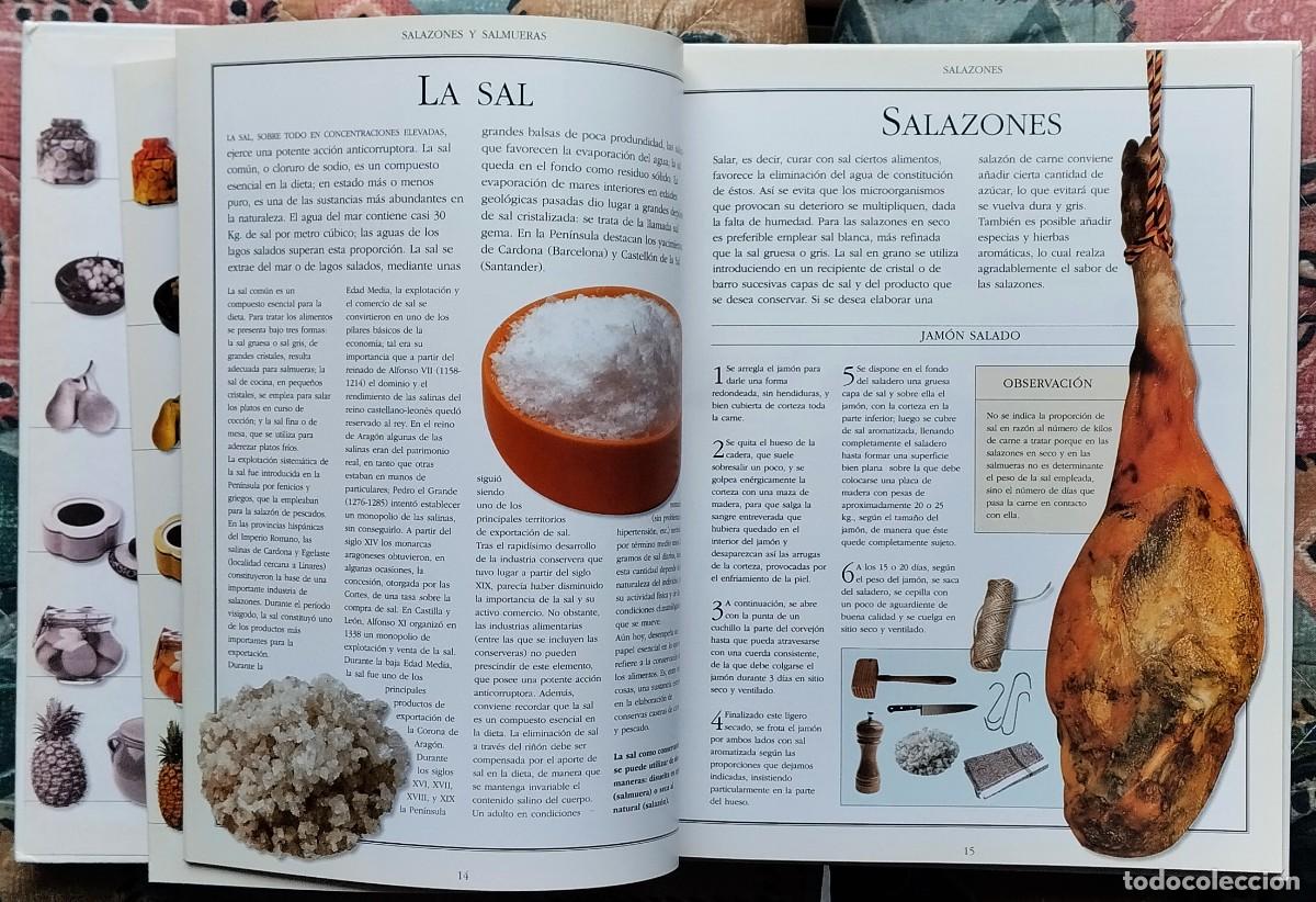 Libros de segunda mano: EL LIBRO DE LAS CONSERVAS (II). DE LA COLECCION LAS COSAS DE CASA. NUMERO 2 - Foto 5