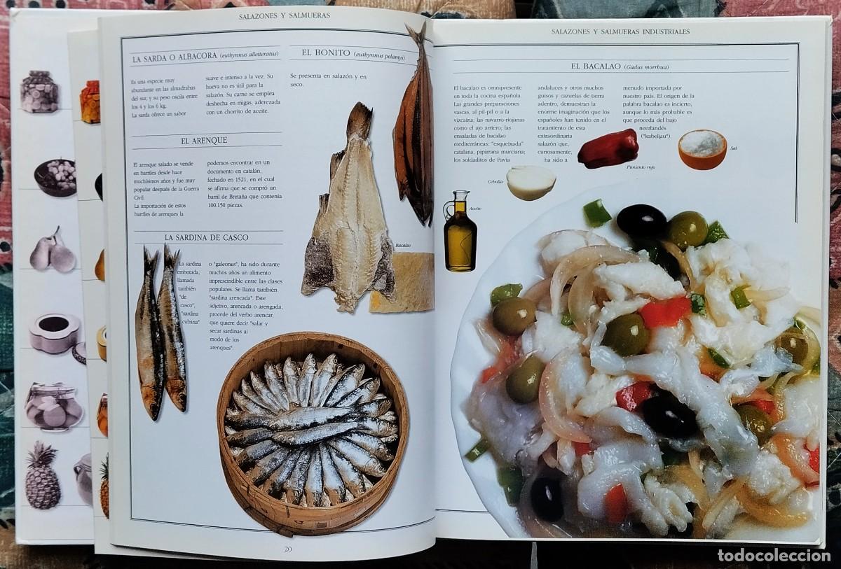 Libros de segunda mano: EL LIBRO DE LAS CONSERVAS (II). DE LA COLECCION LAS COSAS DE CASA. NUMERO 2 - Foto 6