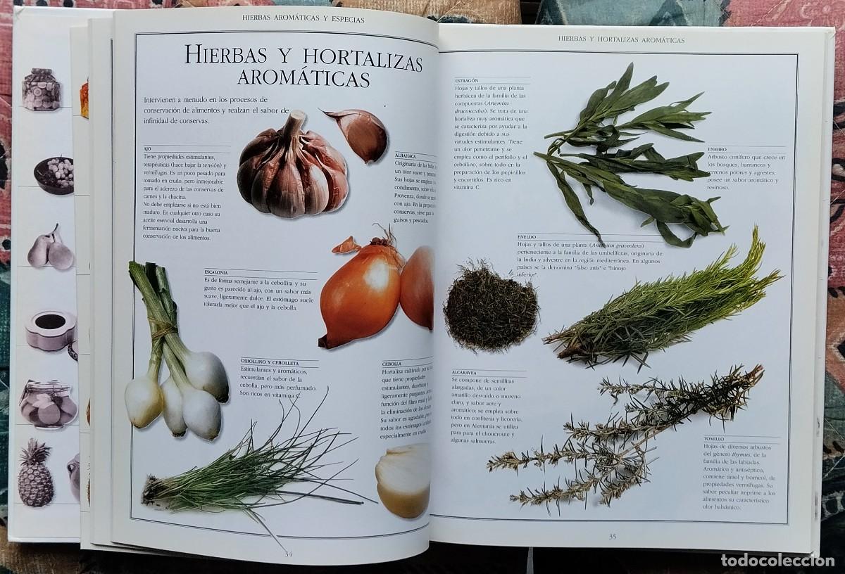 Libros de segunda mano: EL LIBRO DE LAS CONSERVAS (II). DE LA COLECCION LAS COSAS DE CASA. NUMERO 2 - Foto 7