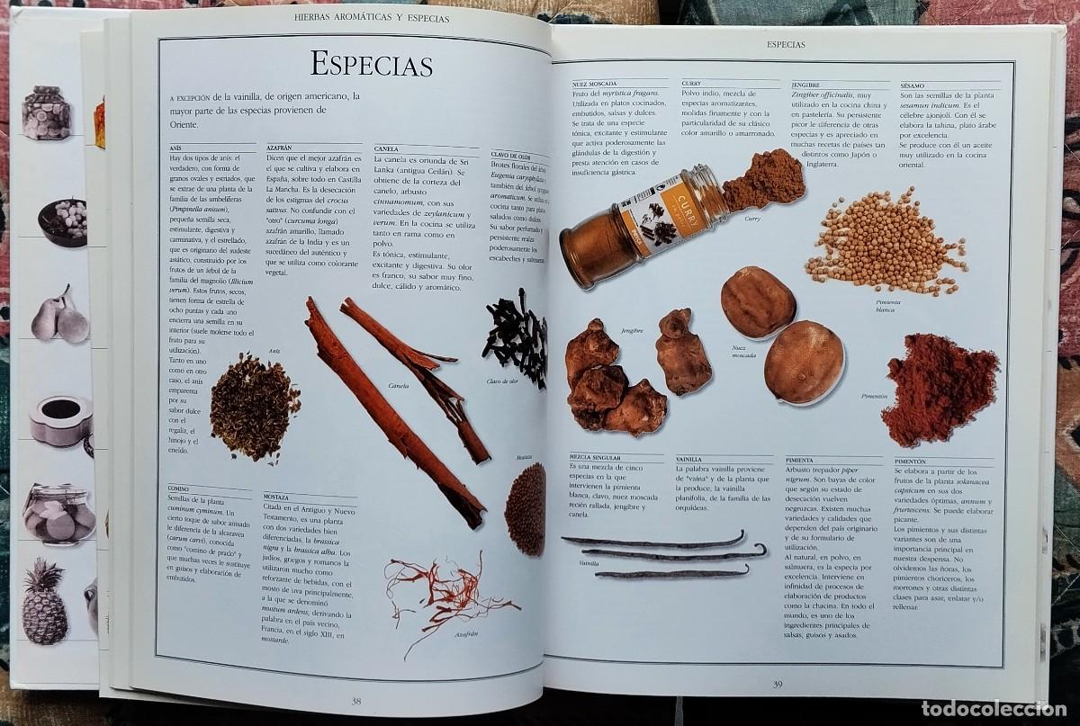 Libros de segunda mano: EL LIBRO DE LAS CONSERVAS (II). DE LA COLECCION LAS COSAS DE CASA. NUMERO 2 - Foto 8