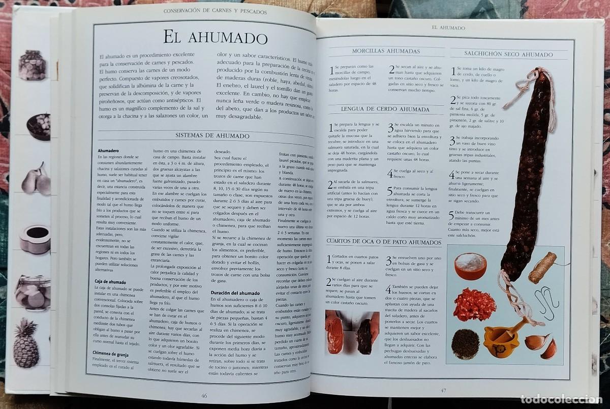 Libros de segunda mano: EL LIBRO DE LAS CONSERVAS (II). DE LA COLECCION LAS COSAS DE CASA. NUMERO 2 - Foto 9