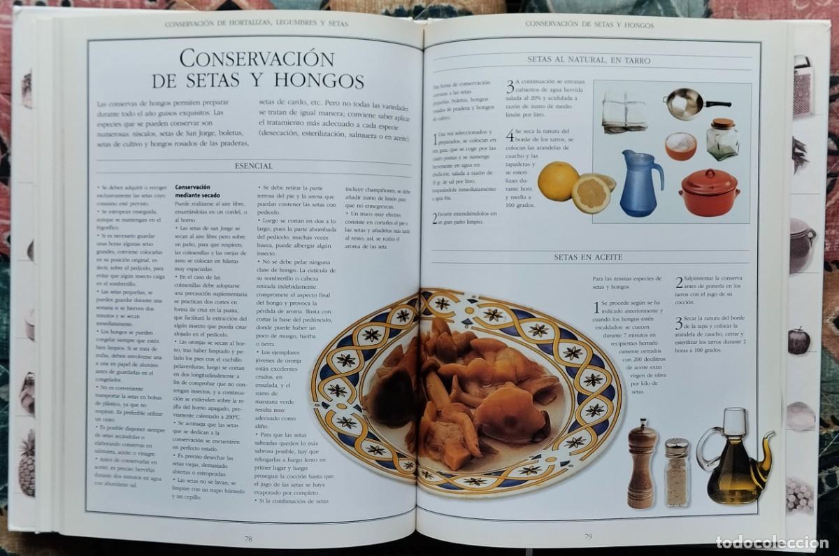 Libros de segunda mano: EL LIBRO DE LAS CONSERVAS (II). DE LA COLECCION LAS COSAS DE CASA. NUMERO 2 - Foto 10