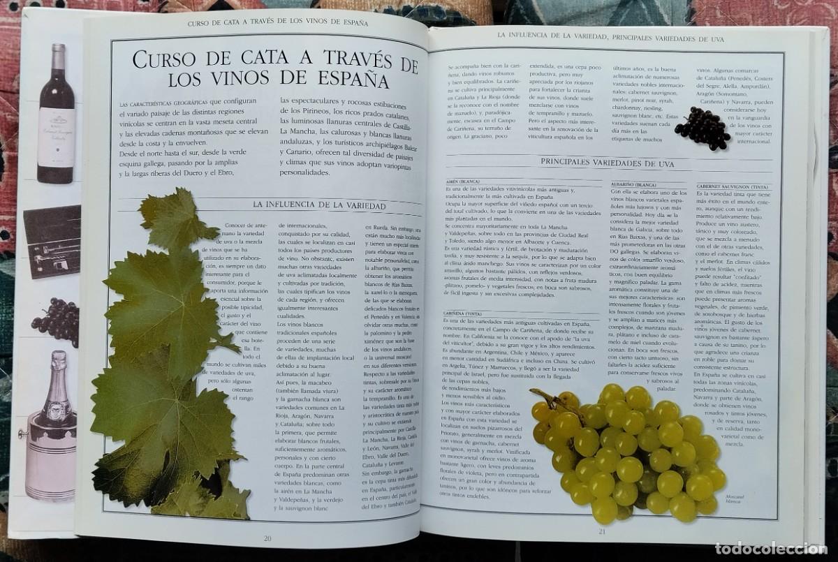 Libros de segunda mano: EL LIBRO DEL VINO. DE LA COLECCION LAS COSAS DE CASA. NUMERO 4 - Foto 5