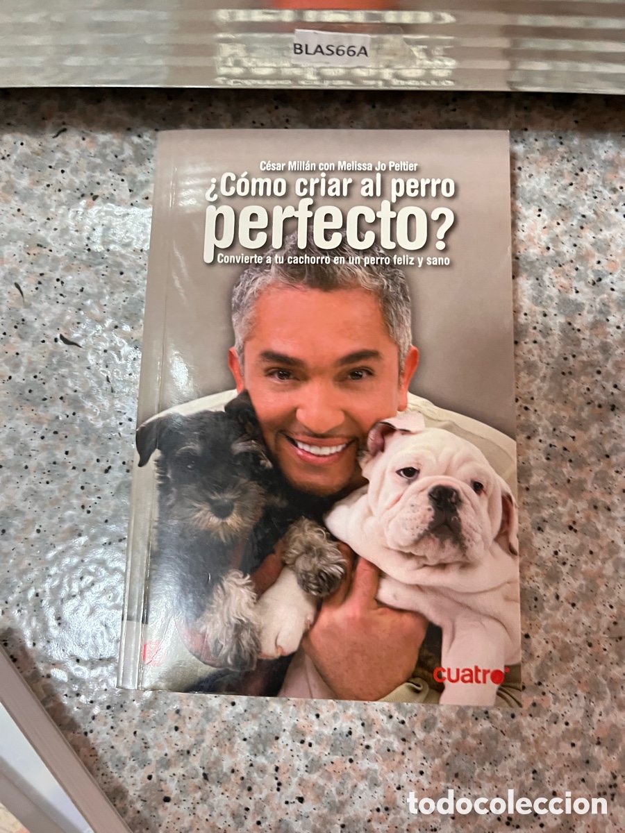 Libros de segunda mano: BLAS66A C&eacute;sar Millan con Melissa Jo Peltier &iquest;C&oacute;mo criar al perro pertecto? - Foto 1