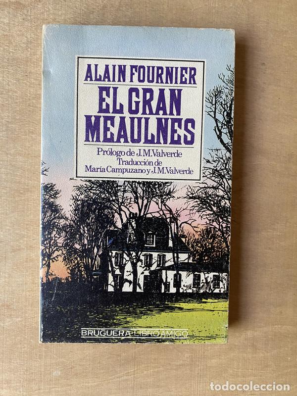 Libros de segunda mano: El gran meaulnes - Fournier Alain - Foto 1