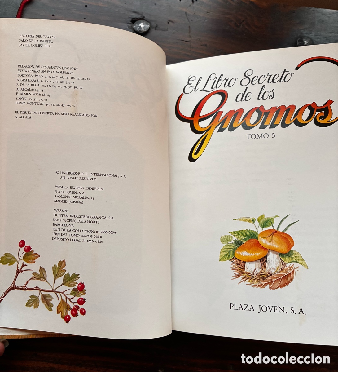 Libros de segunda mano: EL LIBRO SECRETO DE LOS GNOMOS. TOMO 5 - Foto 2