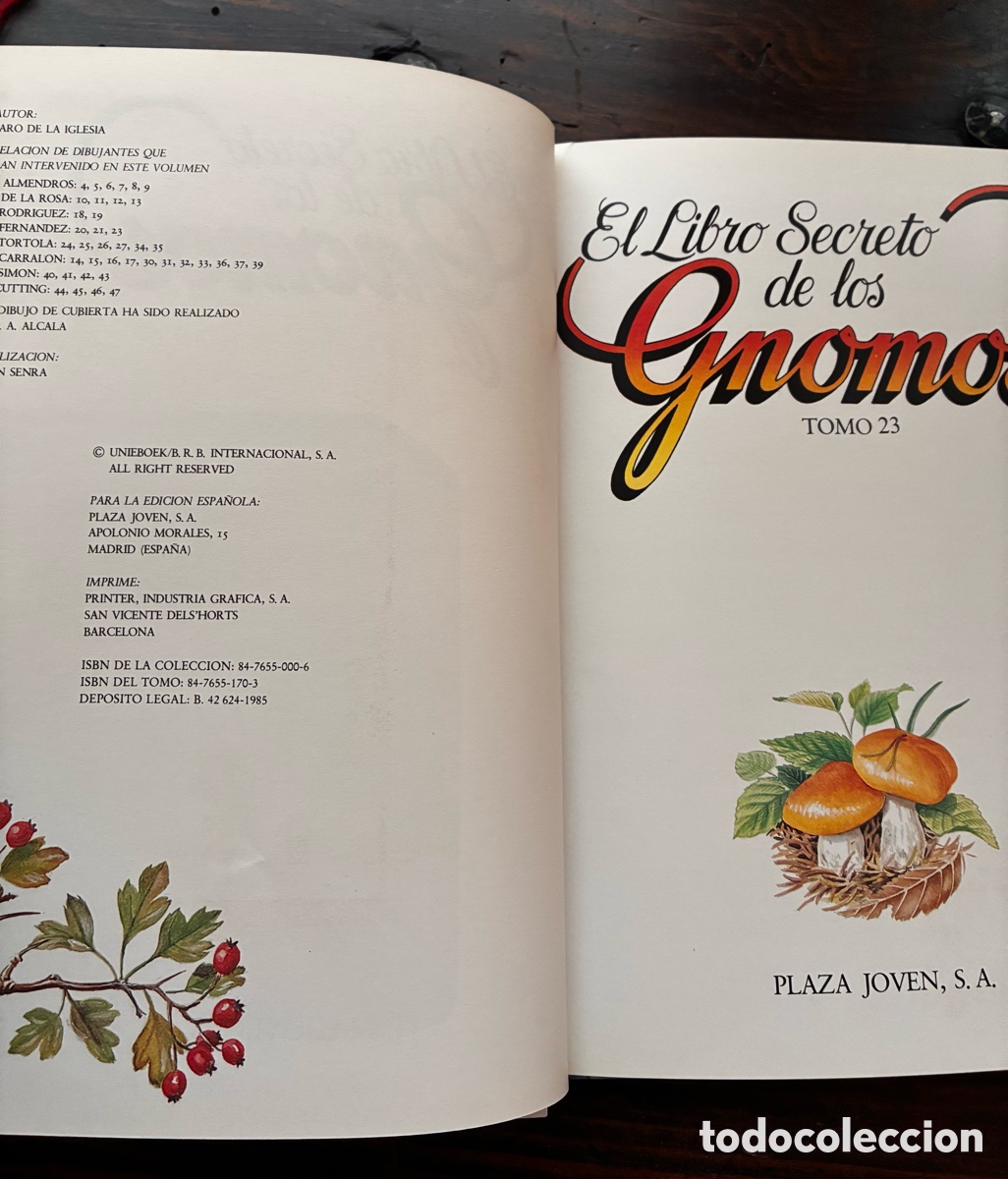 Libros de segunda mano: EL LIBRO SECRETO DE LOS GNOMOS. Tomo 23 - Foto 2