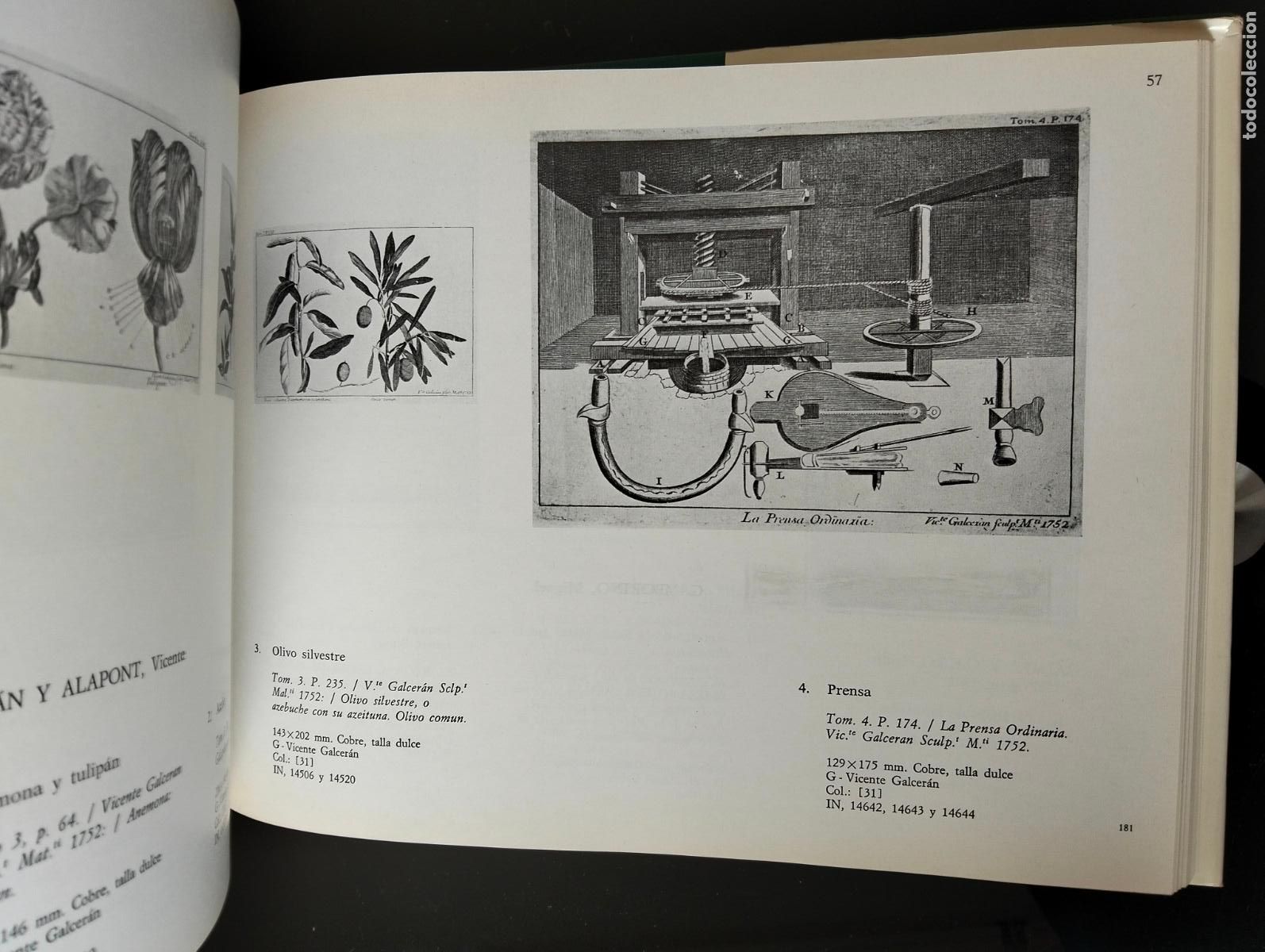 Libros de segunda mano: Ilustracion. Arte. Madrid. Gabinete de Estampas, Museo Municipal, Madrid, 1985 VISITA CATALOGO
