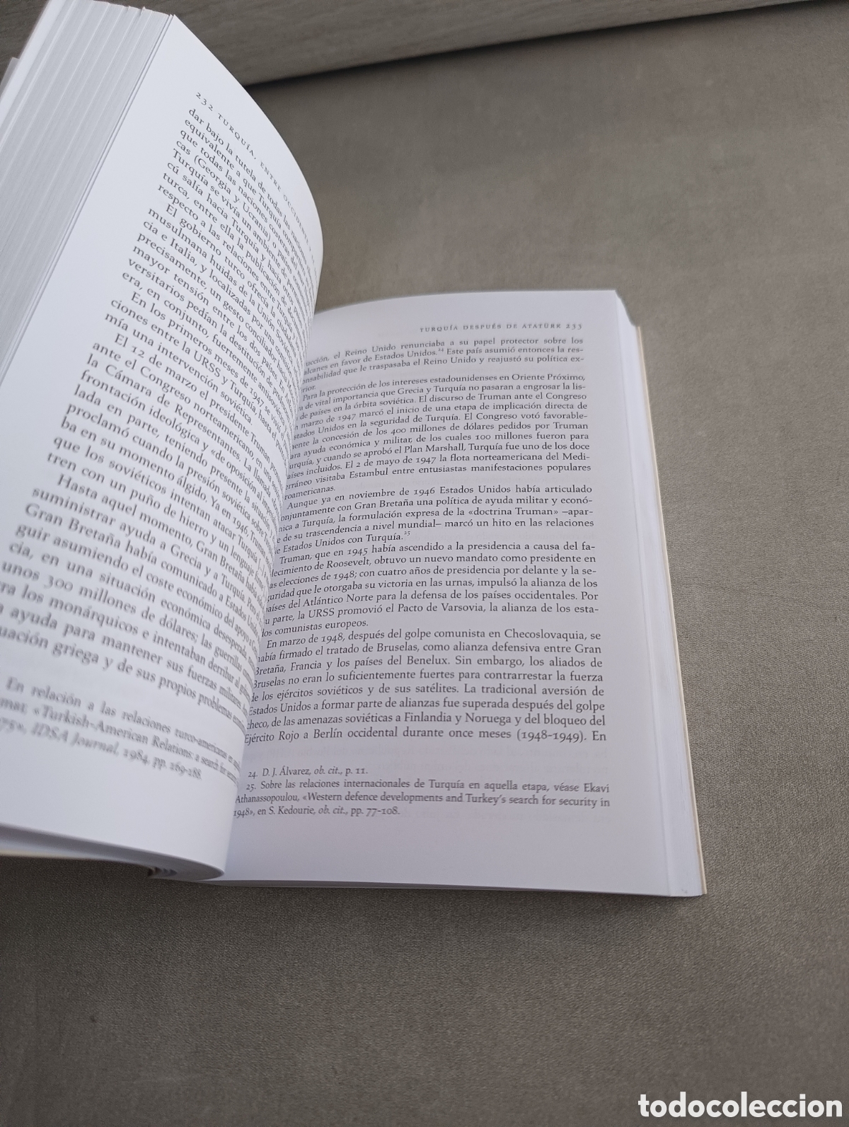 Libros de segunda mano: TURQU&Iacute;A ENTRE OCCIDENTE Y EL ISLAM. GLORIA RUBIOL. - Foto 7