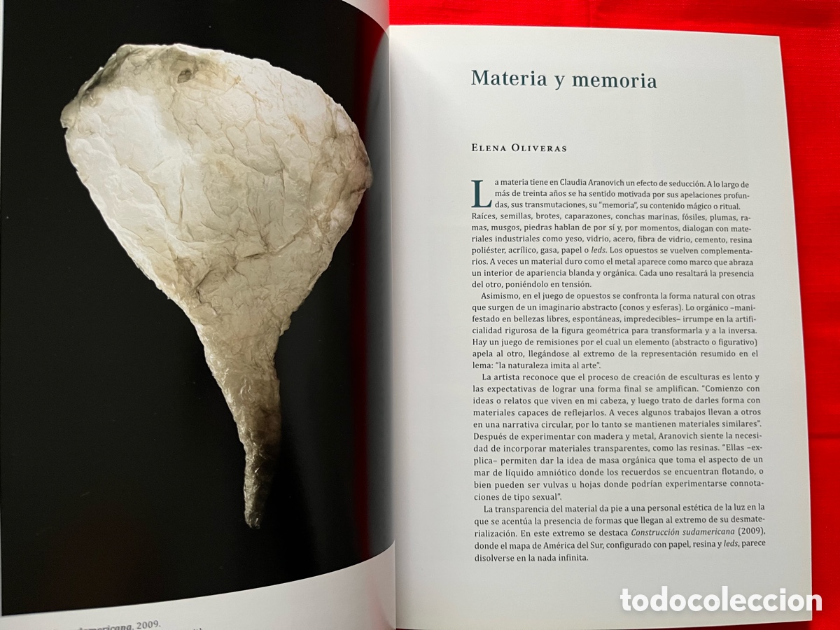 Libros de segunda mano: Libro de escultura - Claudia Aranovich - Foto 3