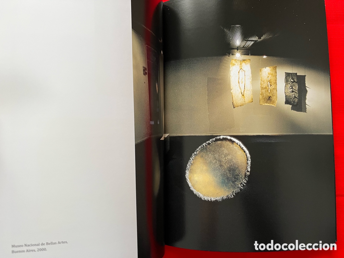 Libros de segunda mano: Libro de escultura - Claudia Aranovich - Foto 6