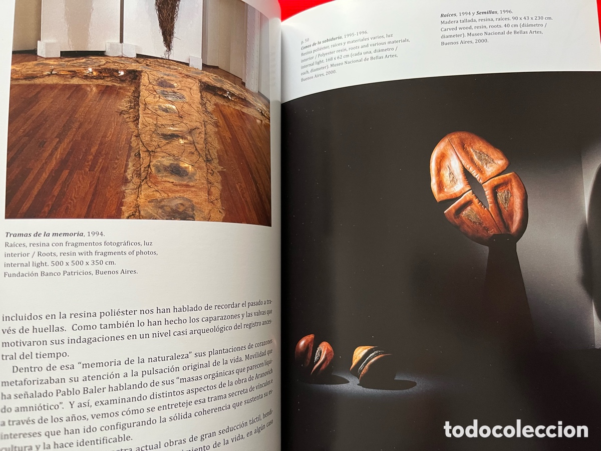 Libros de segunda mano: Libro de escultura - Claudia Aranovich - Foto 9