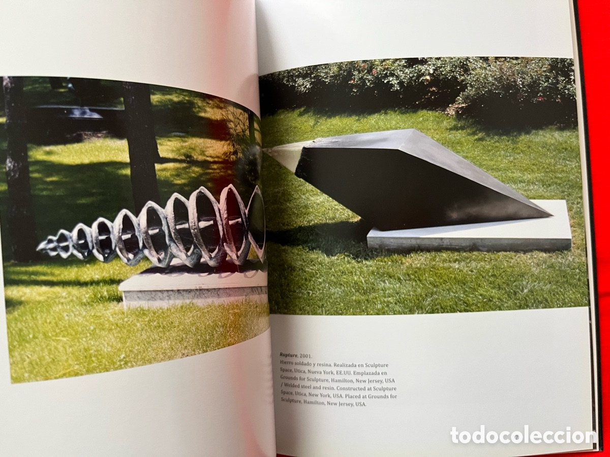 Libros de segunda mano: Libro de escultura - Claudia Aranovich - Foto 10