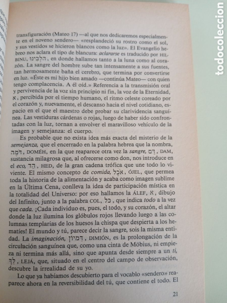 Libros de segunda mano: Senderos en el jard&iacute;n del coraz&oacute;n. Mario Satz. - Foto 6