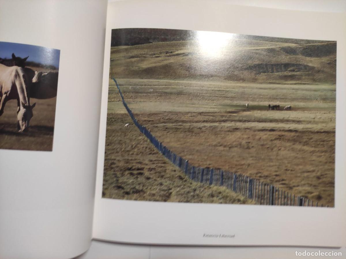 Libros de segunda mano: TIERRA DEL FUEGO. 2VV LAVA FABRIZIO - Foto 2