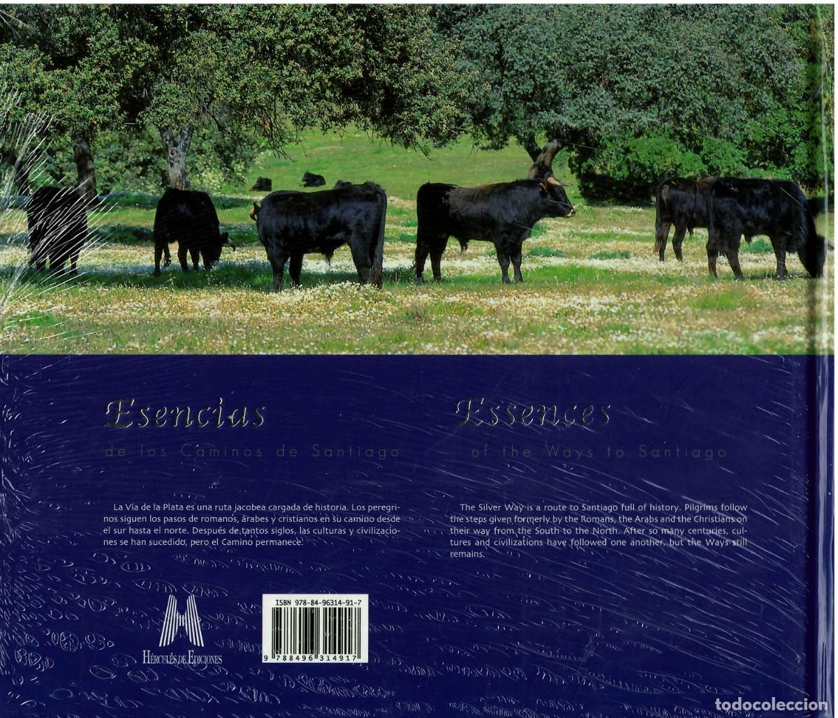 Libros de segunda mano: ESENCIAS DE LOS CAMINOS DE SANTIAGO, V&Iacute;A DE LA PLATA - Foto 2
