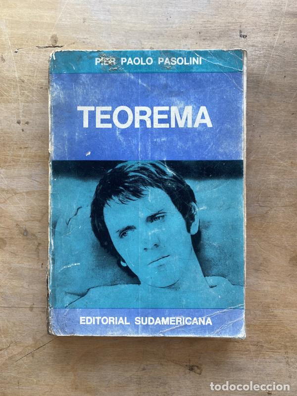Libros de segunda mano: Teorema - Pasolini Pier Paolo - Foto 1