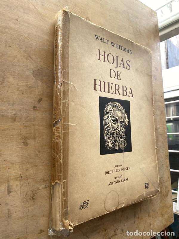 Libros de segunda mano: Hojas de hierba - Whitman Walt - Foto 1