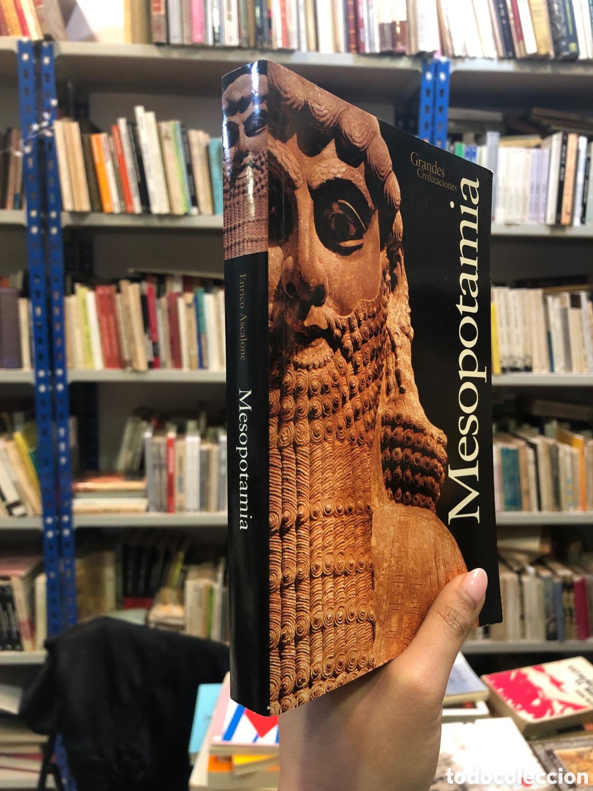 Libros de segunda mano: Mesopotamia - Enrico Ascalone - Foto 1