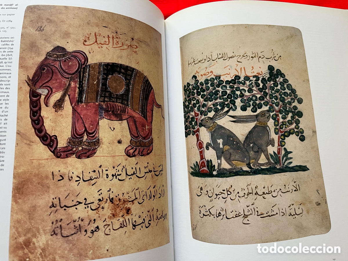 Libros de segunda mano: Libro LAge dor des sciences arabes - En franc&eacute;s - Foto 8