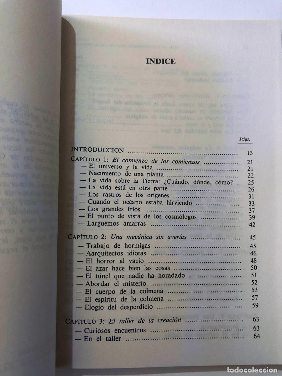 Libros de segunda mano: DIOS DE LAS HORMIGAS - DIOS DE LAS ESTRELLAS / REMY CHAUVIN 1990 / SIN USAR - Foto 2