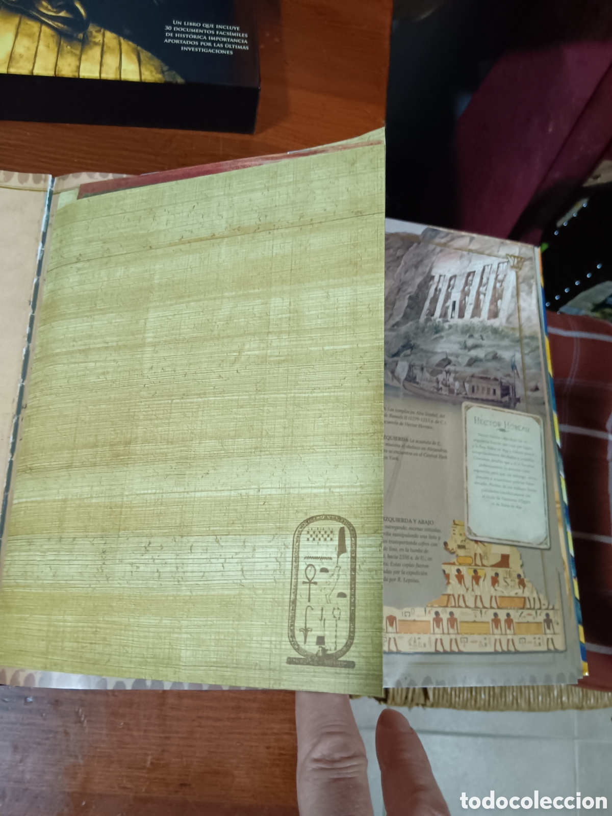 Libros de segunda mano: LOS TESOROS DE TUTANKHAMON, JAROMIR MALEK - Foto 15