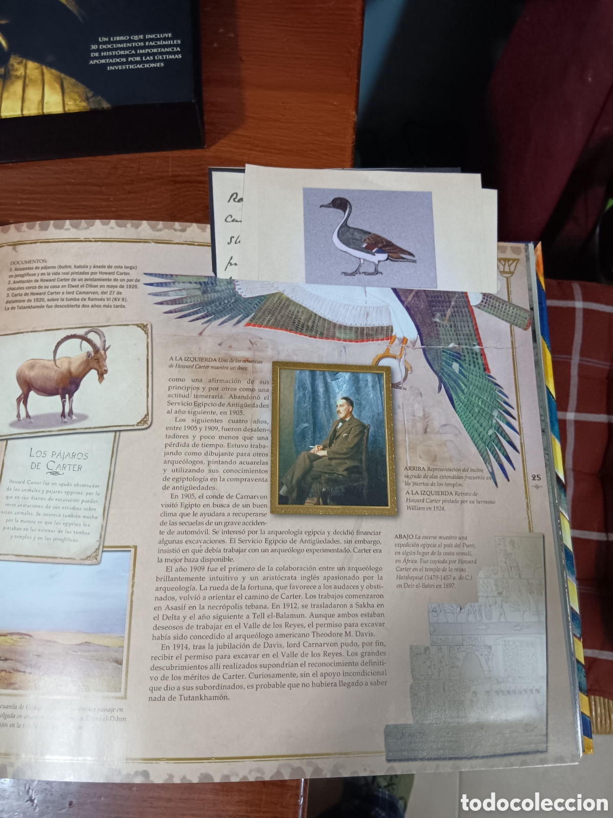 Libros de segunda mano: LOS TESOROS DE TUTANKHAMON, JAROMIR MALEK - Foto 16