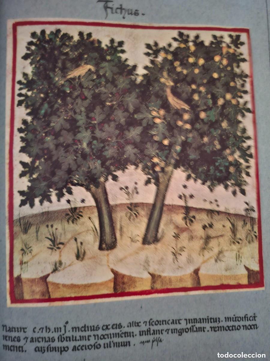Libros de segunda mano: Theatrum sanitatis. FMR - Foto 3