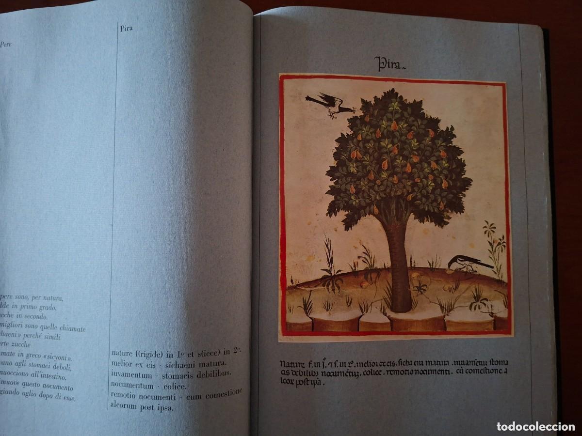 Libros de segunda mano: Theatrum sanitatis. FMR - Foto 4
