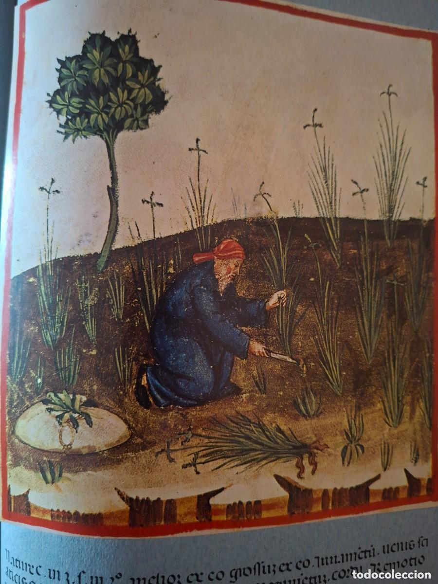 Libros de segunda mano: Theatrum sanitatis. FMR - Foto 7