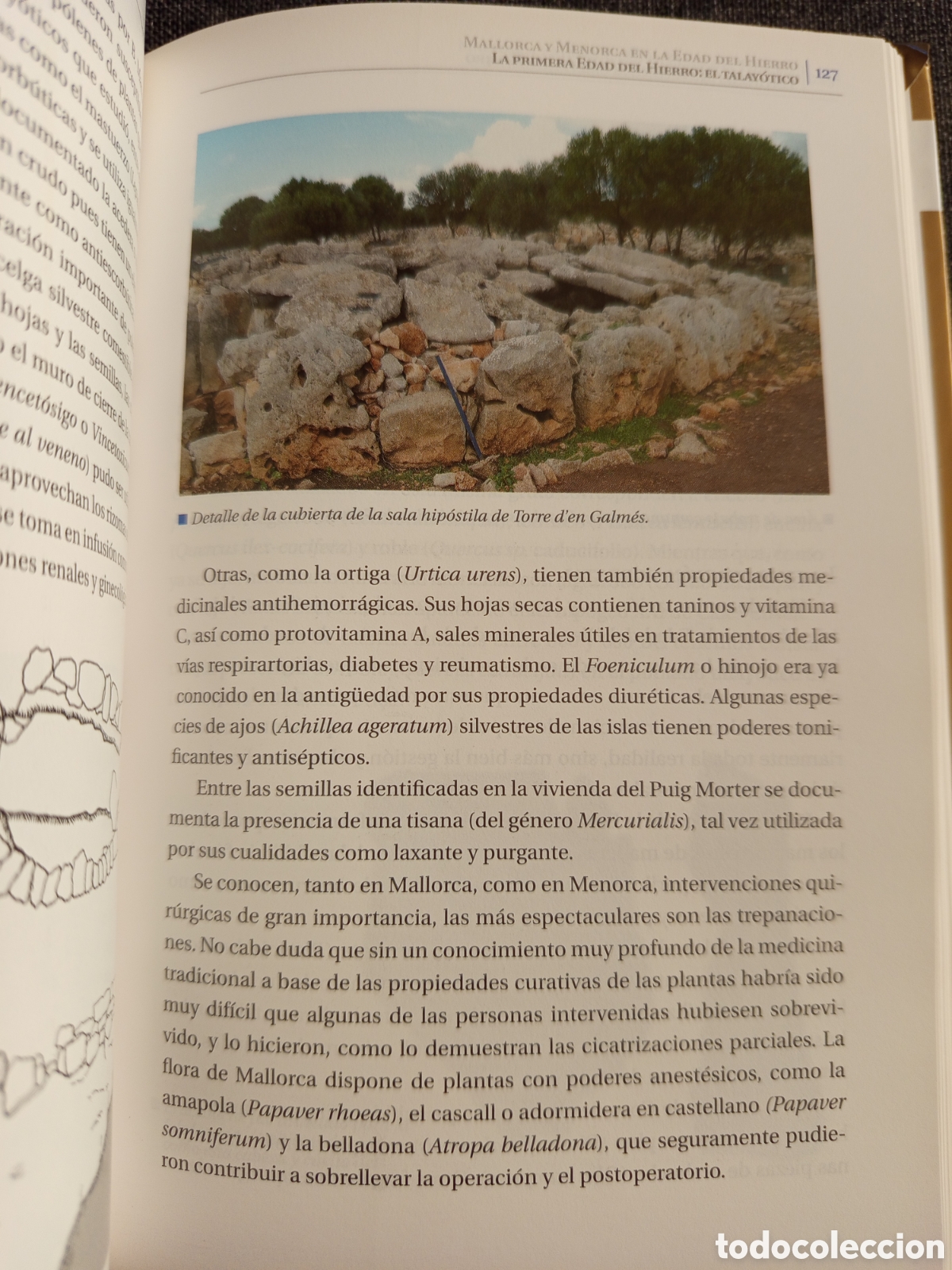 Libros de segunda mano: MALLORCA Y MENORCA EN LA EDAD DE HIERRO (HISTORIA DE LAS ISLAS BALEARES N&deg; 2) - Foto 6