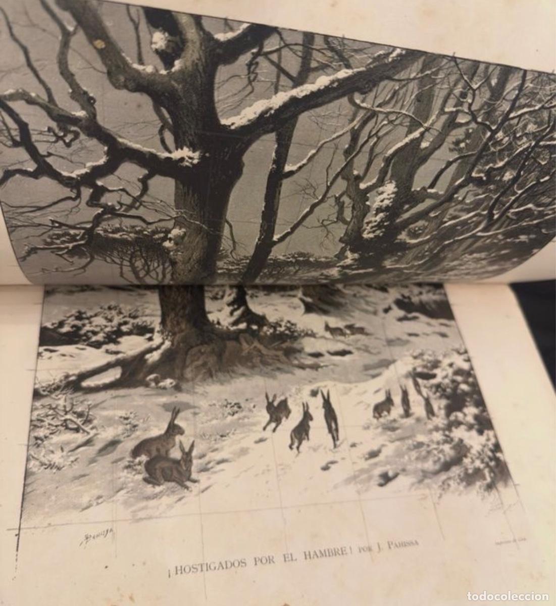 Libros de segunda mano: La Caza en Todos los Tiempos 1880 Robert Campbell - Foto 9