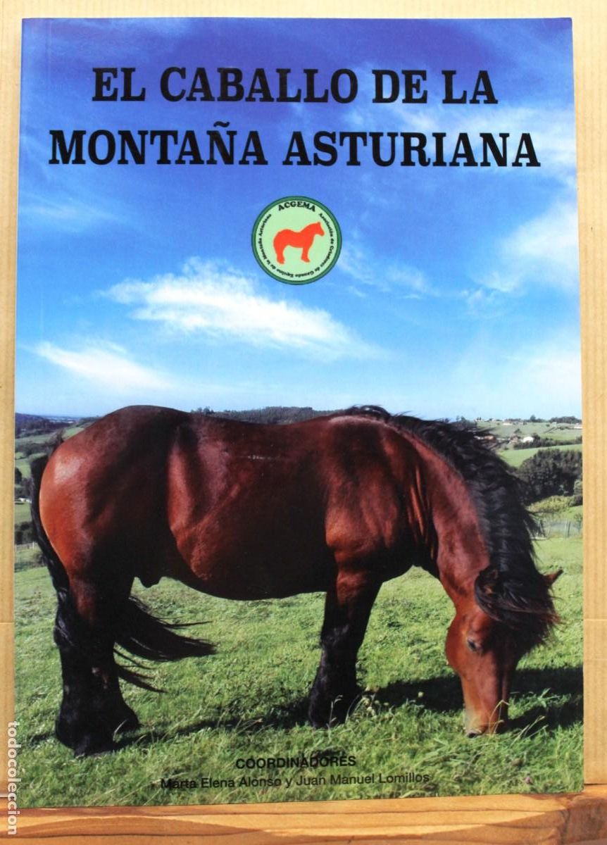 Libros de segunda mano: EL CABALLO DE LA MONTA&Ntilde;A ASTURIANA. Veterinaria Etnolog&iacute;a Razas Carne Equino Asturias
